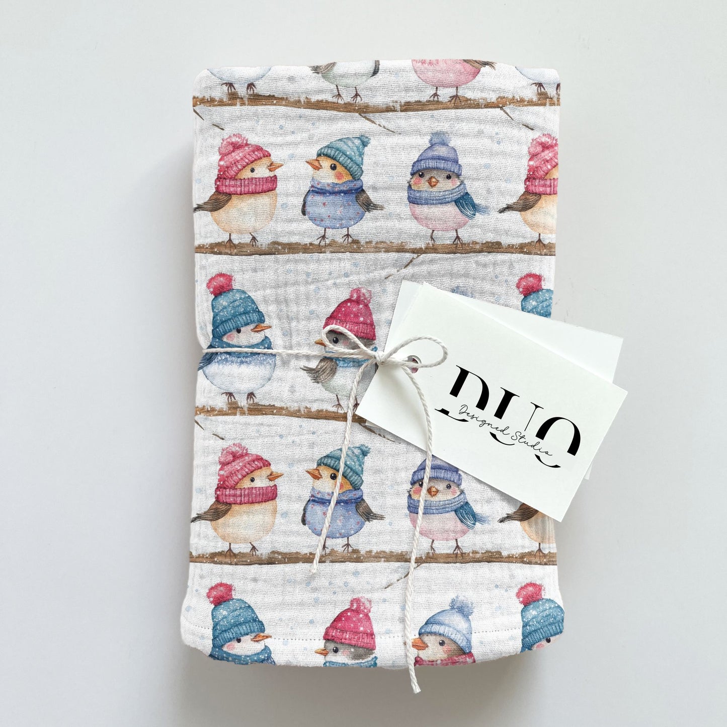 Winter Robins Digital Seamless Pattern