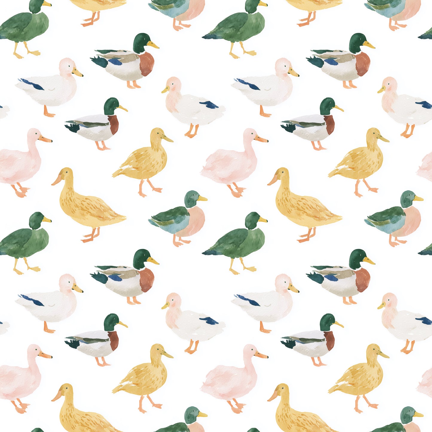 Whimsical Ducks Digital Seamless Pattern